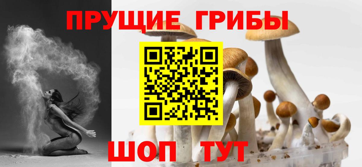 Галлюциногенные грибы GOLDEN TEACHER  Вход с VPN  купить  сайты  Рубцовск 
