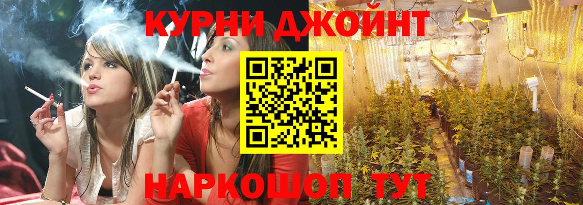 МАРИХУАНА сатива Рубцовск